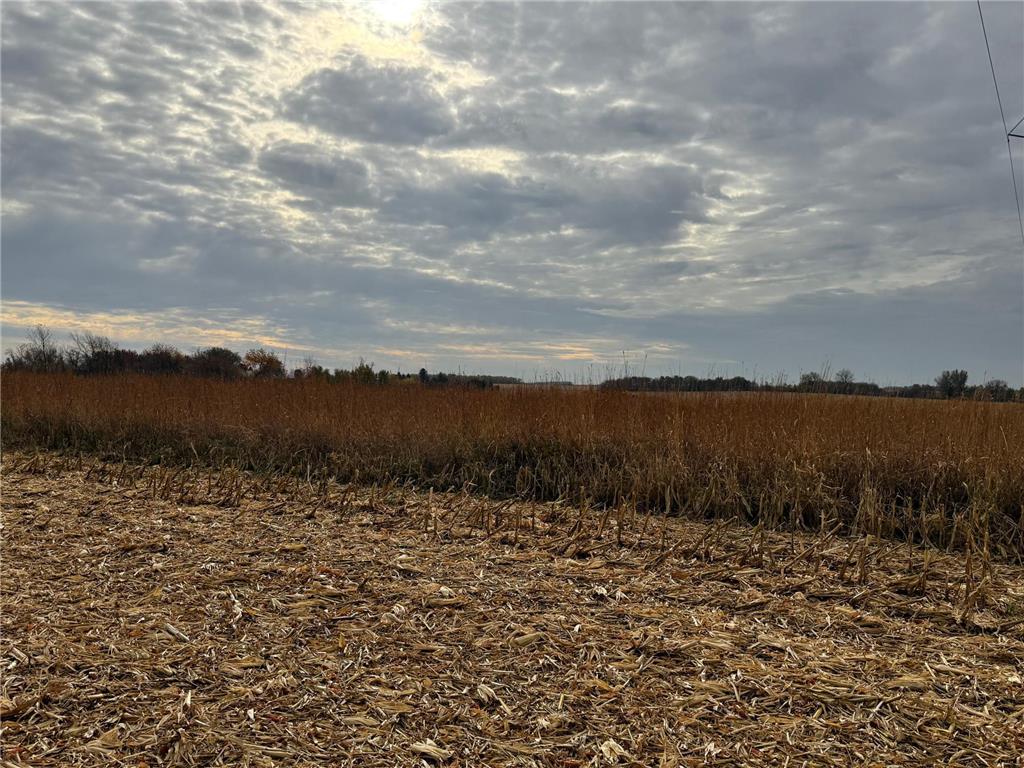 TBD County Road 149 Rock Dell Twp MN 55940 6809892 image36