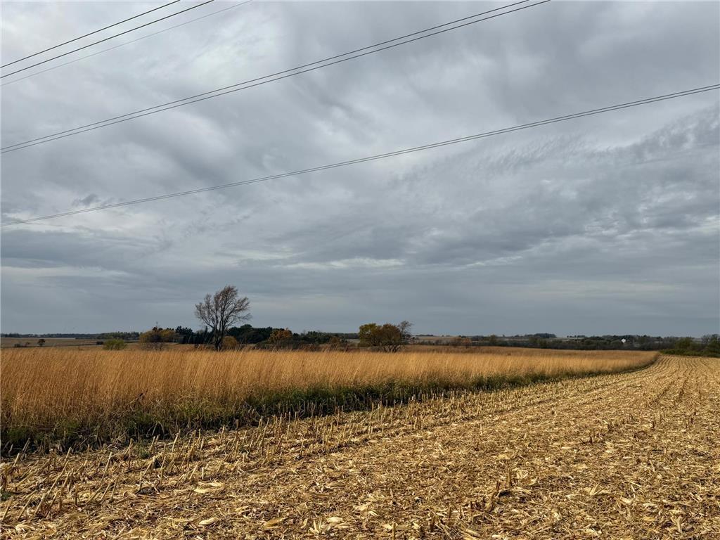 TBD County Road 149 Rock Dell Twp MN 55940 6809892 image37