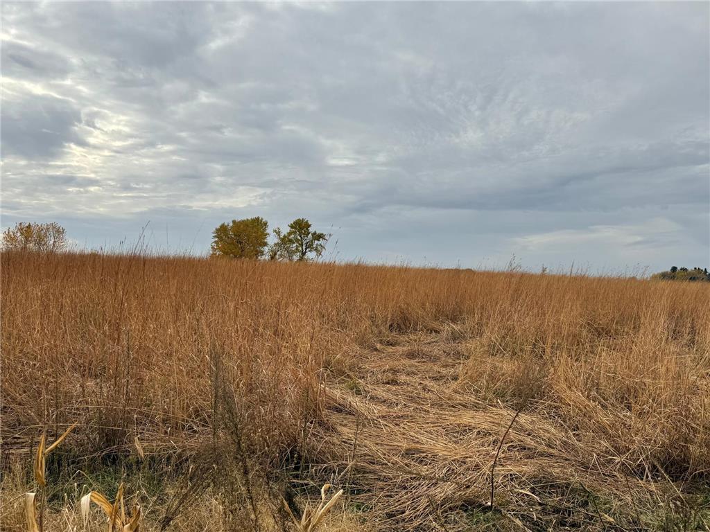 TBD County Road 149 Rock Dell Twp MN 55940 6809892 image38