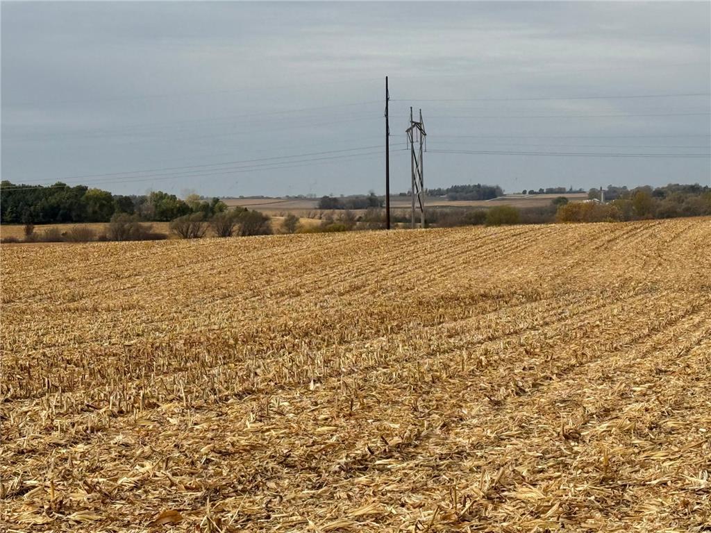 TBD County Road 149 Rock Dell Twp MN 55940 6809892 image39