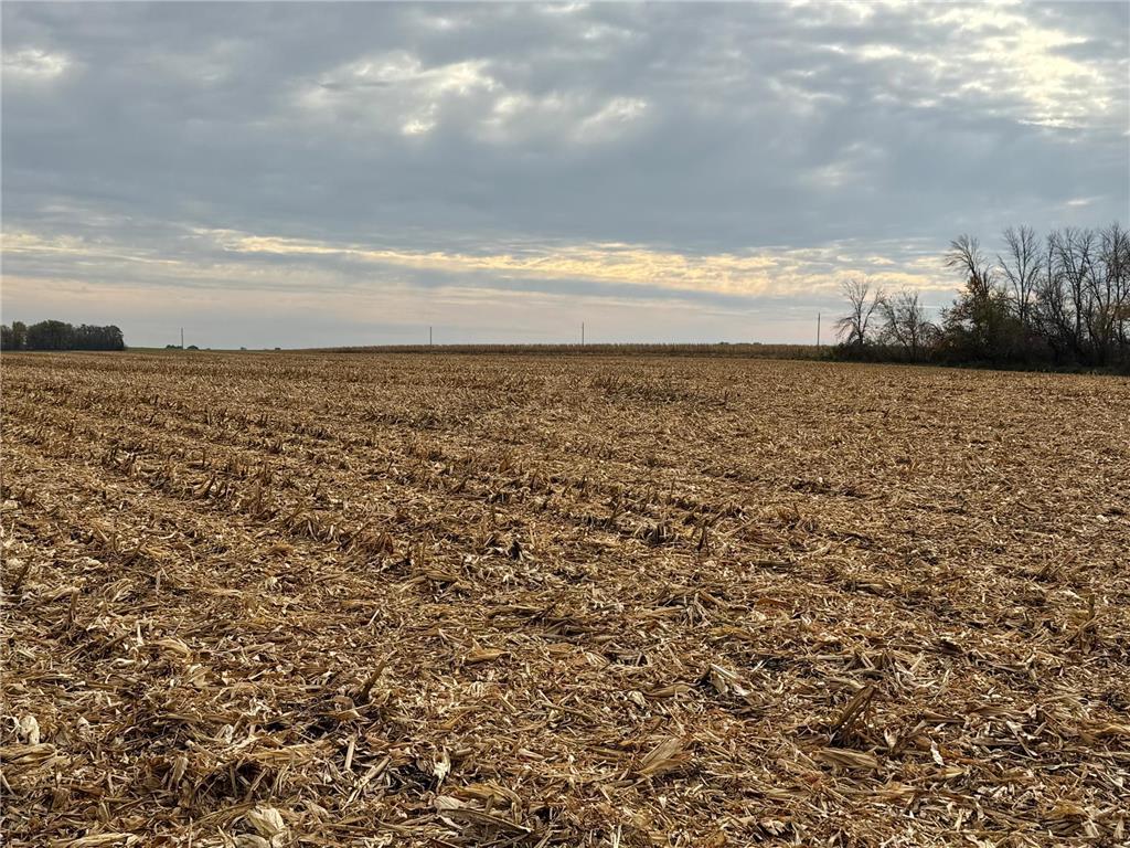 TBD County Road 149 Rock Dell Twp MN 55940 6809892 image40