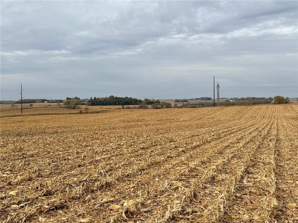 TBD County Road 149 Rock Dell Twp MN 55940 6809892 image41