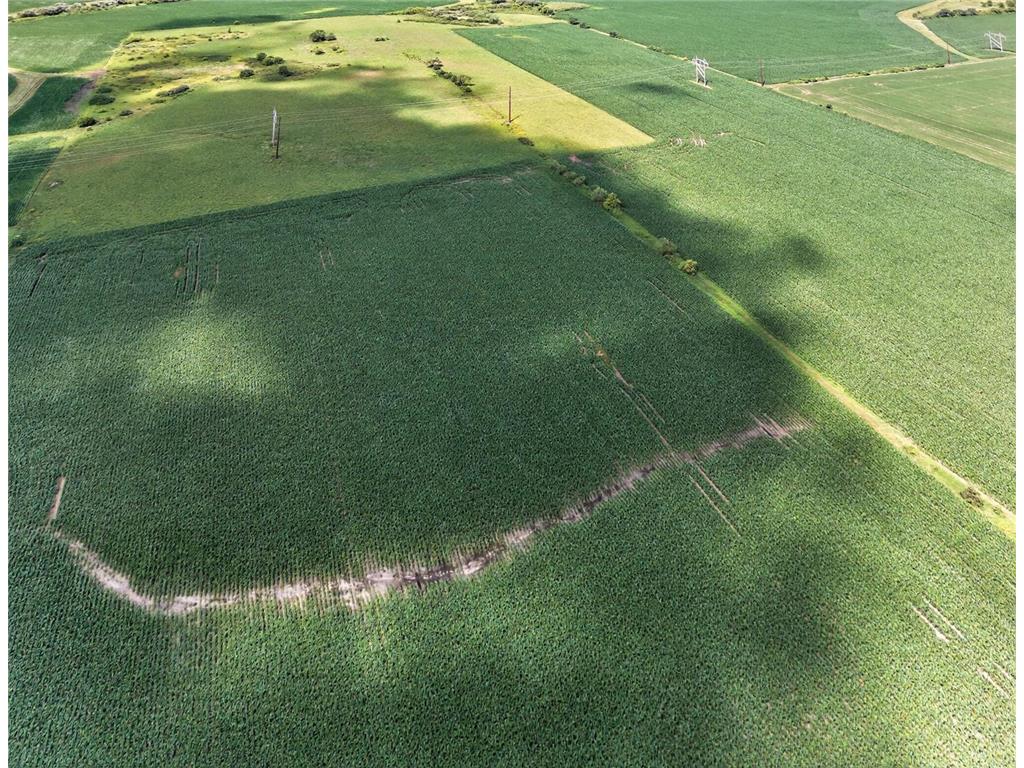 TBD County Road 149 Hayfield MN 55940 7006380 image10