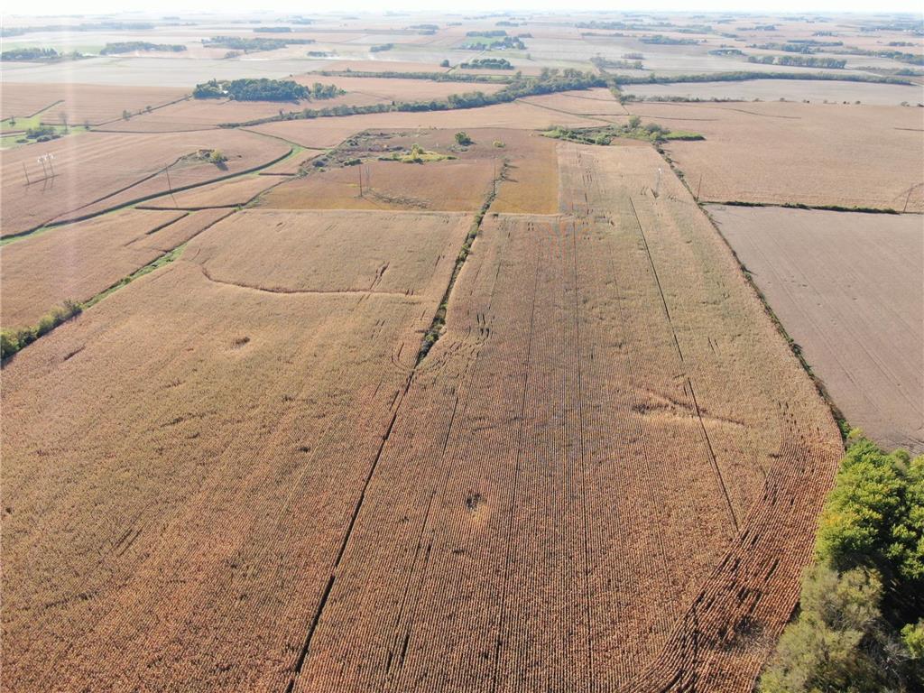 TBD County Road 149 Hayfield MN 55940 7006380 image17