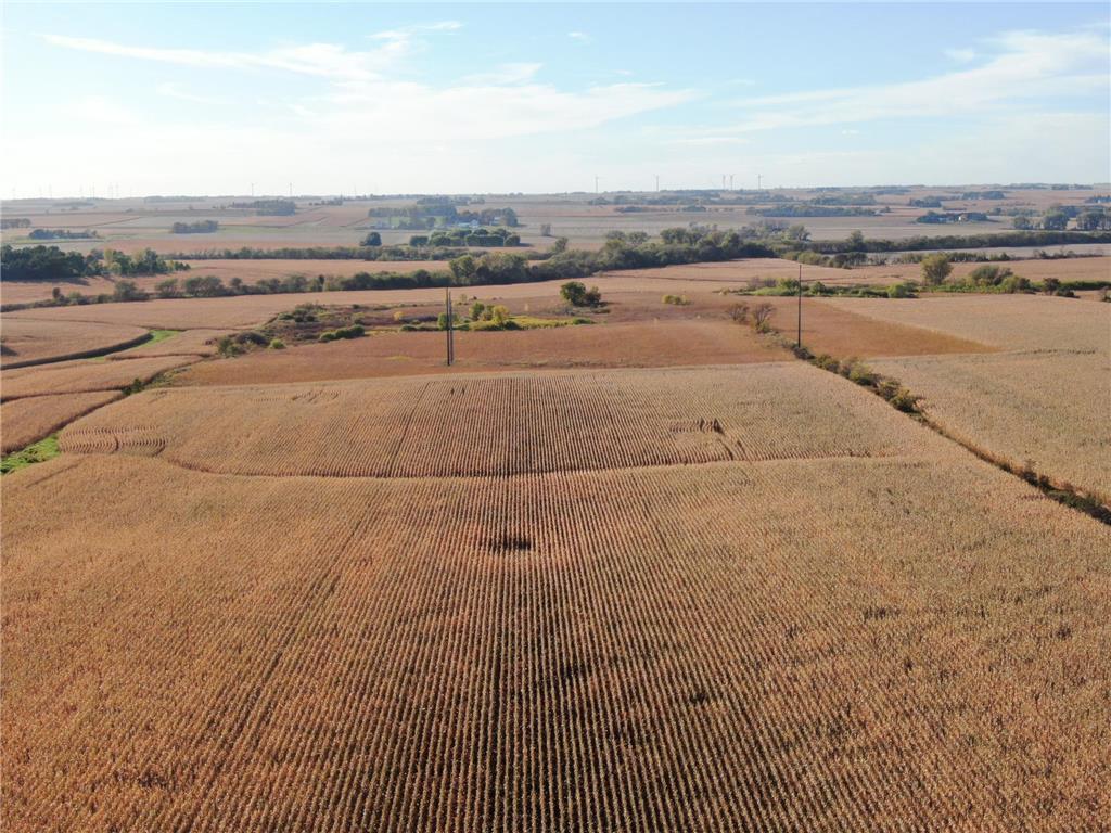 TBD County Road 149 Hayfield MN 55940 7006380 image25