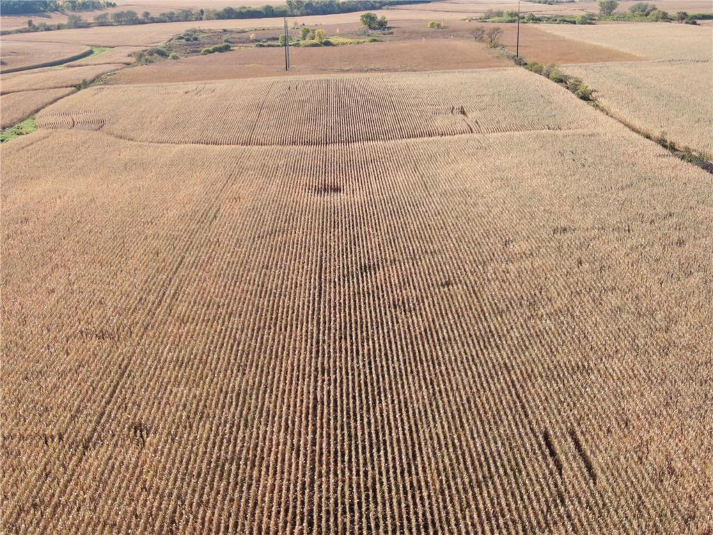TBD County Road 149 Hayfield MN 55940 7006380 image26