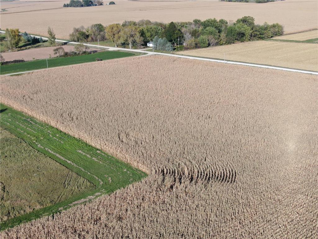 TBD County Road 149 Hayfield MN 55940 7006380 image28