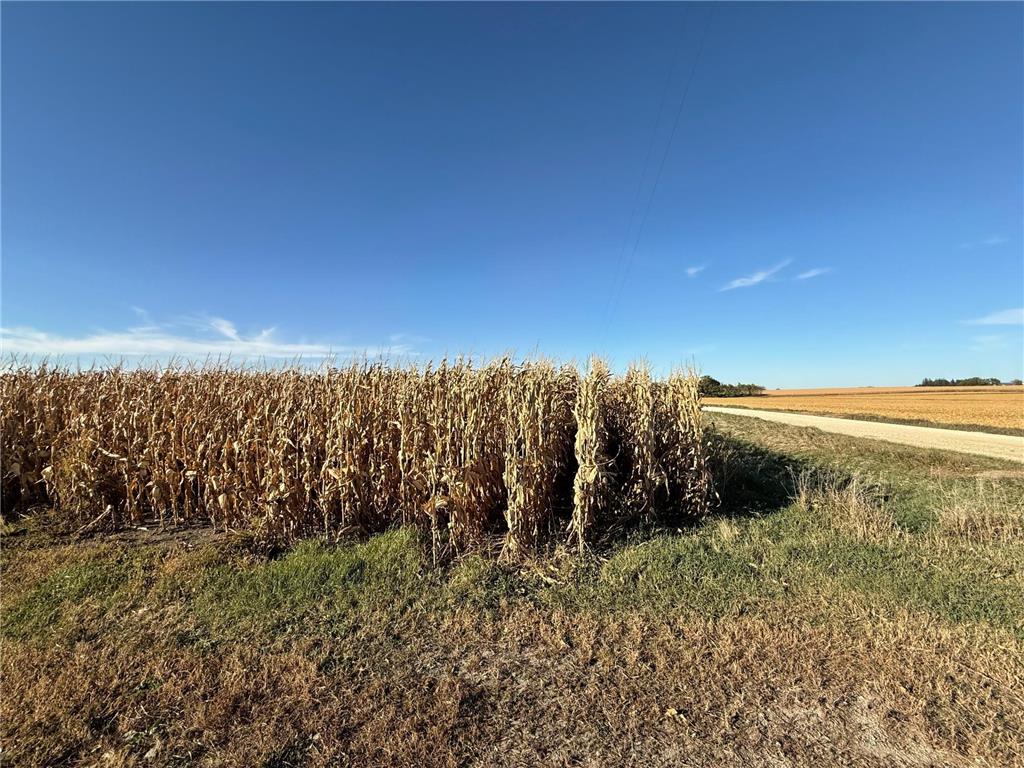 TBD County Road 149 Hayfield MN 55940 7006380 image31
