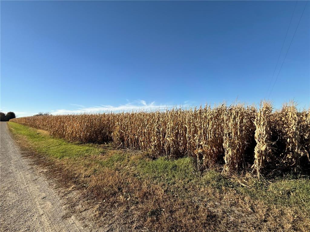 TBD County Road 149 Hayfield MN 55940 7006380 image32