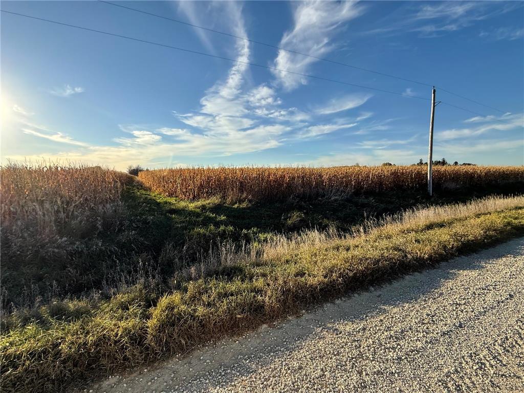 TBD County Road 149 Hayfield MN 55940 7006380 image34
