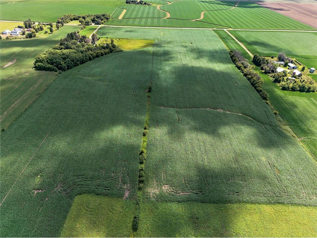 TBD County Road 149 Hayfield MN 55940 7006380 image5