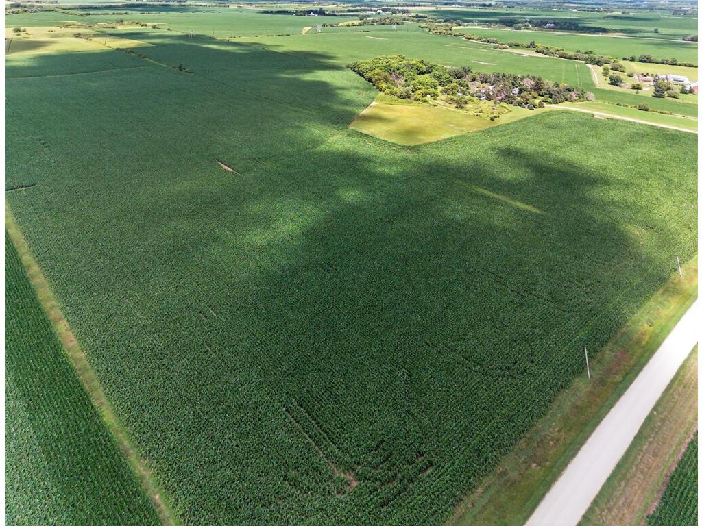 TBD County Road 149 Hayfield MN 55940 7006380 image6