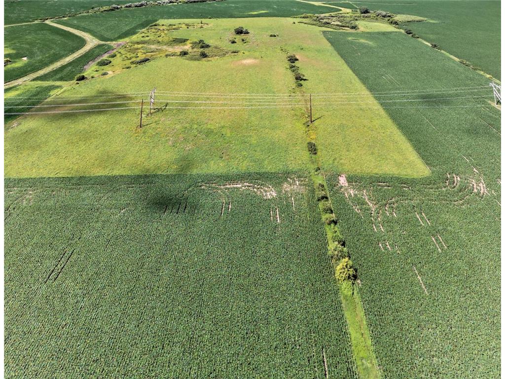 TBD County Road 149 Hayfield MN 55940 7006380 image7