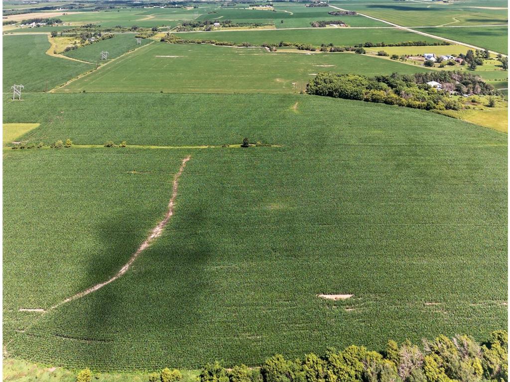 TBD County Road 149 Hayfield MN 55940 7006380 image8