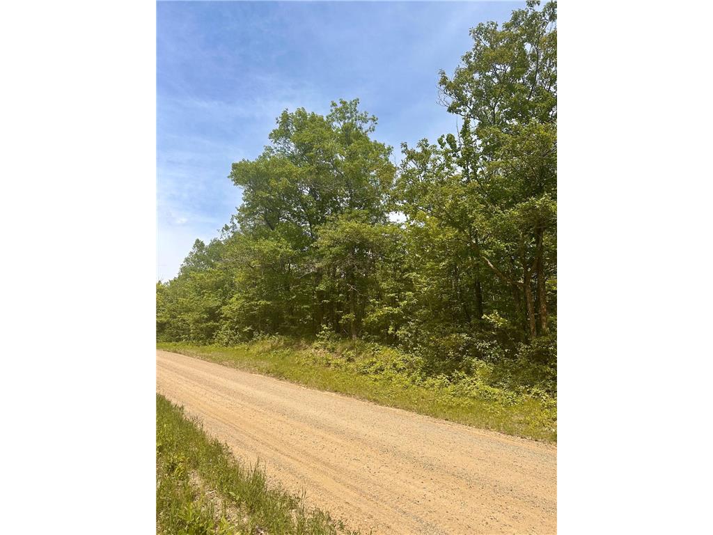 TBD County Road 157 NE Remer MN 56672 6731611 image10