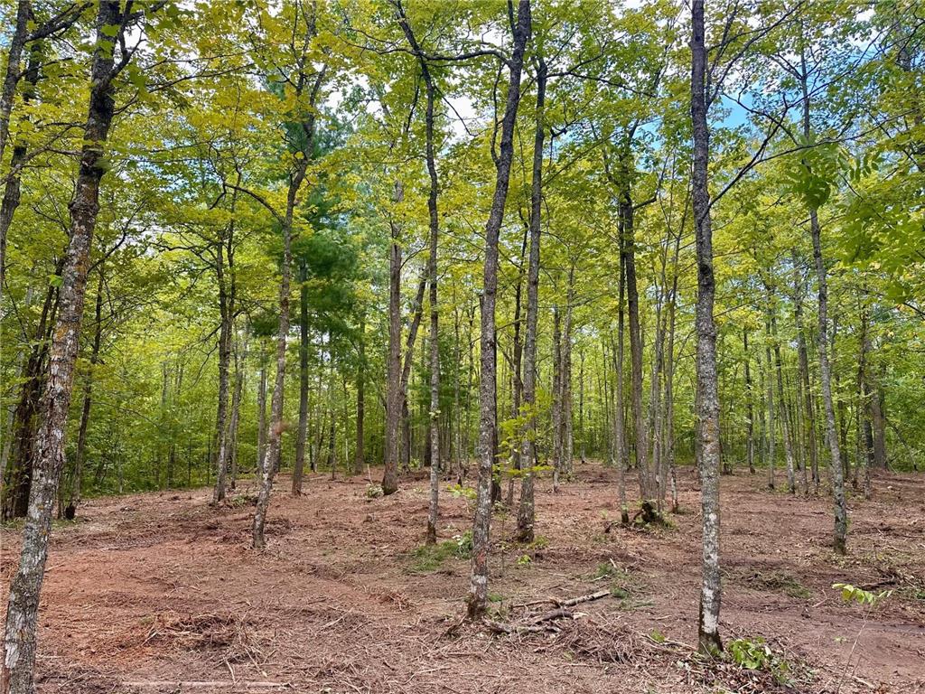 TBD County Road 157 NE Remer MN 56672 6731611 image7