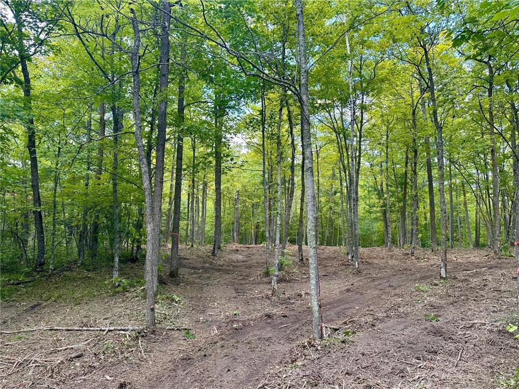 TBD County Road 157 NE Remer MN 56672 7080875 image1
