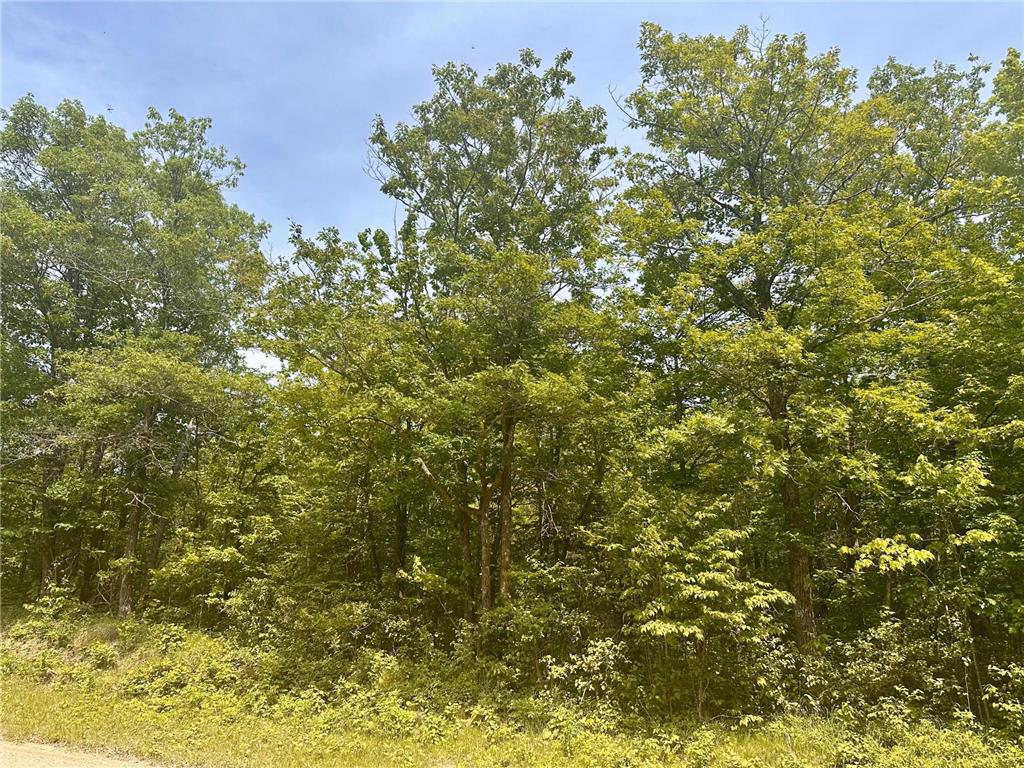 TBD County Road 157 NE Remer MN 56672 7080875 image11