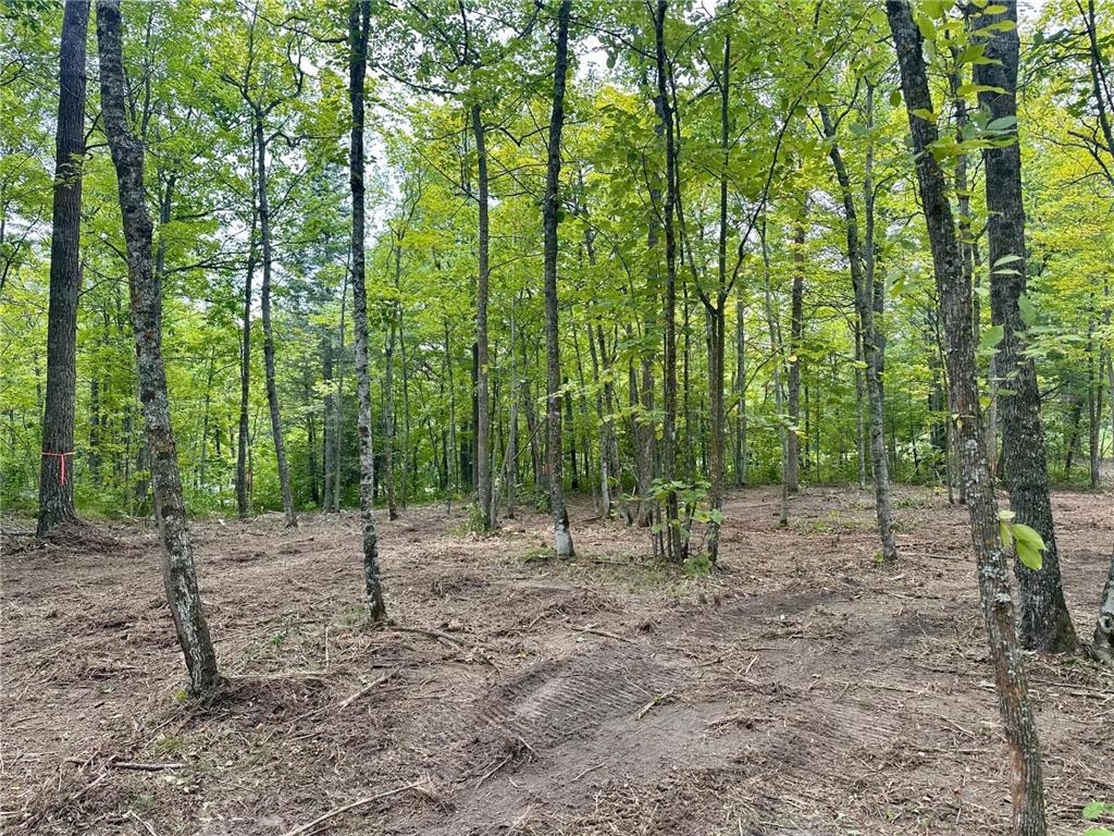 TBD County Road 157 NE Remer MN 56672 7080875 image3