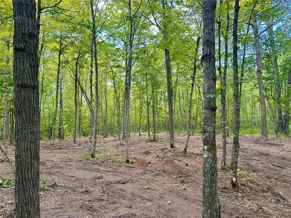 TBD County Road 157 NE Remer MN 56672 7080875 image4