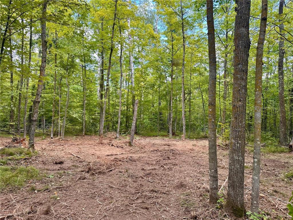 TBD County Road 157 NE Remer MN 56672 7080875 image5