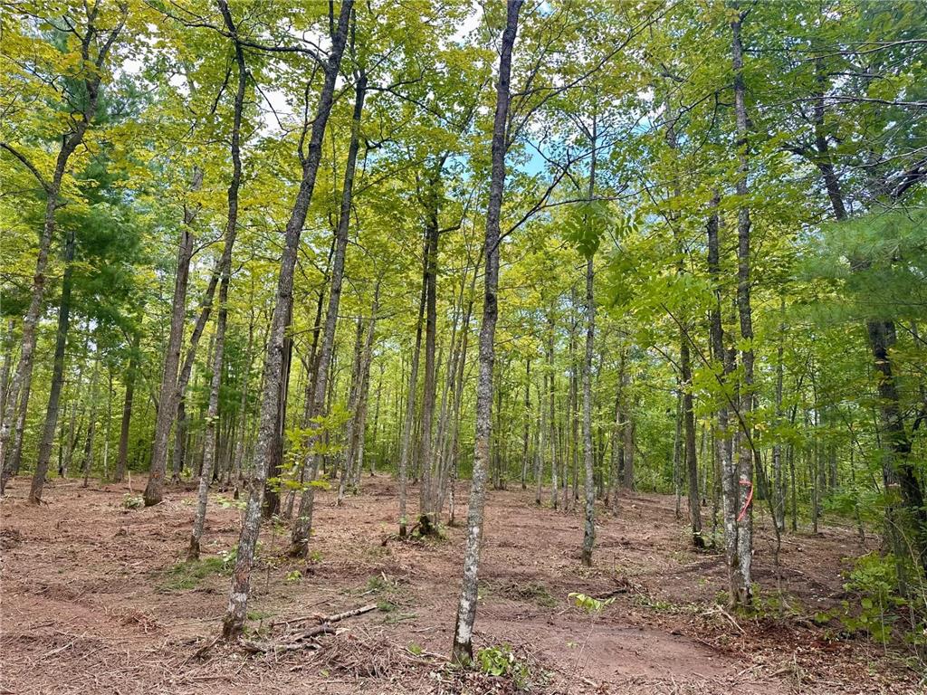 TBD County Road 157 NE Remer MN 56672 7080875 image6