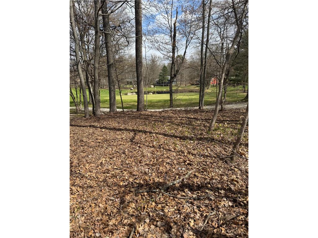 TBD County Road 16 Ideal Twp MN 56472 7070010 image2