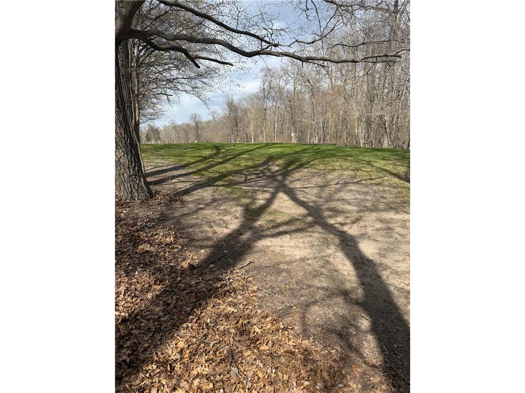 TBD County Road 16 Ideal Twp MN 56472 7070010 image3