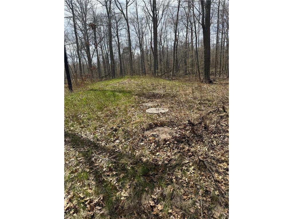 TBD County Road 16 Ideal Twp MN 56472 7070010 image4