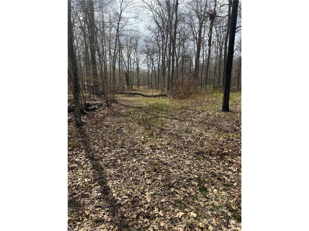 TBD County Road 16 Ideal Twp MN 56472 7070010 image5
