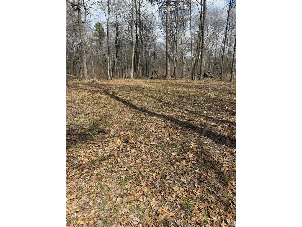 TBD County Road 16 Ideal Twp MN 56472 7070010 image6