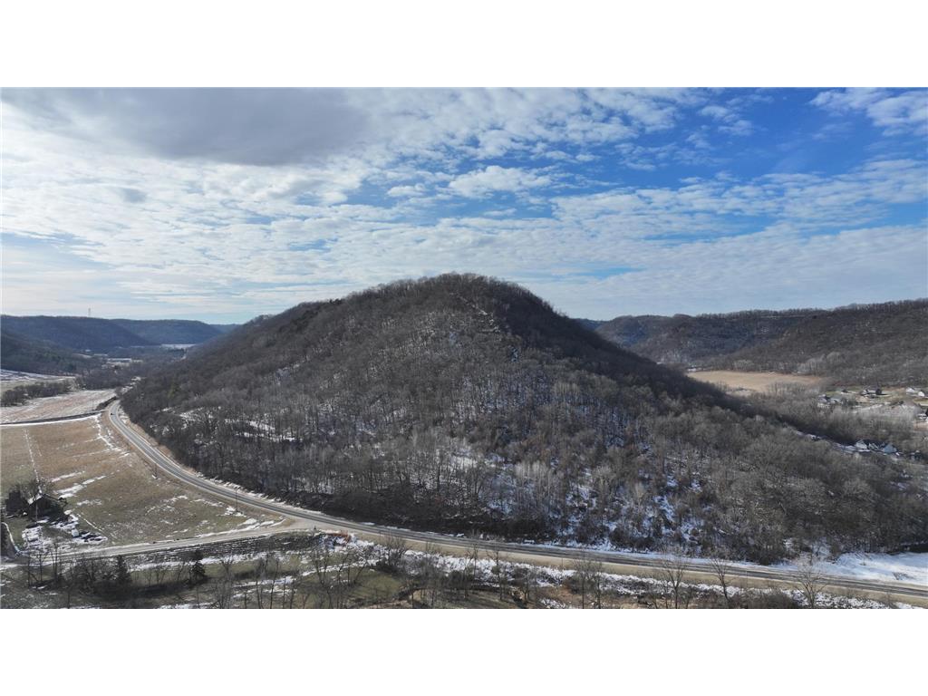 TBD County Road 17 Homer Twp MN 55987 7009382 image1