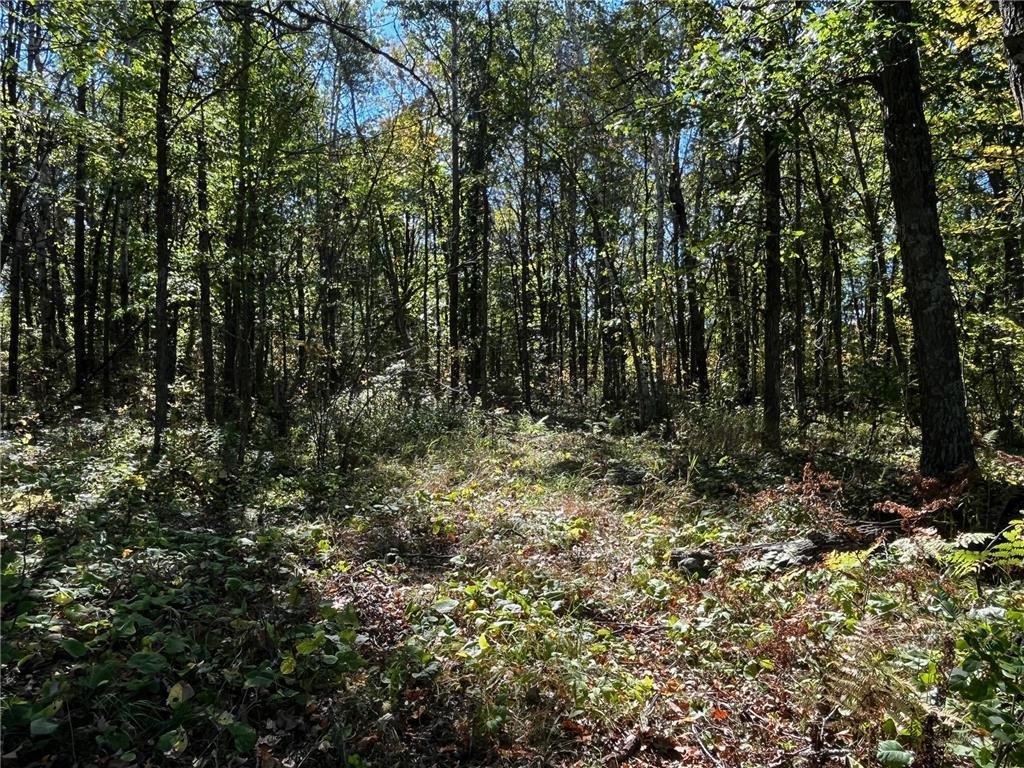 TBD County Road 2 Brainerd MN 56401 6794255 image10