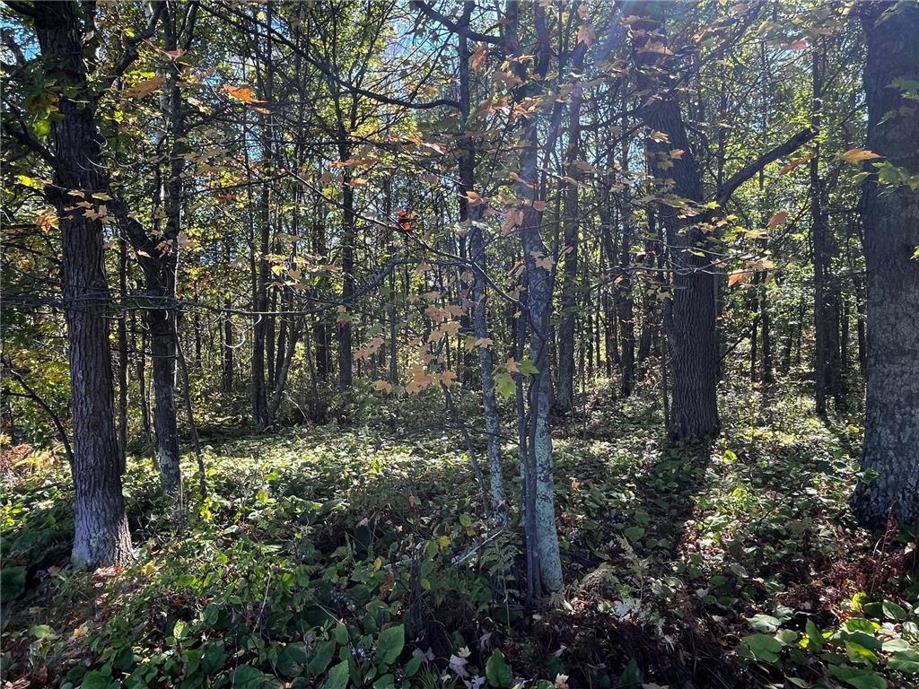 TBD County Road 2 Brainerd MN 56401 6794255 image11