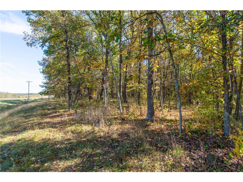 TBD County Road 2 Brainerd MN 56401 6794255 image17