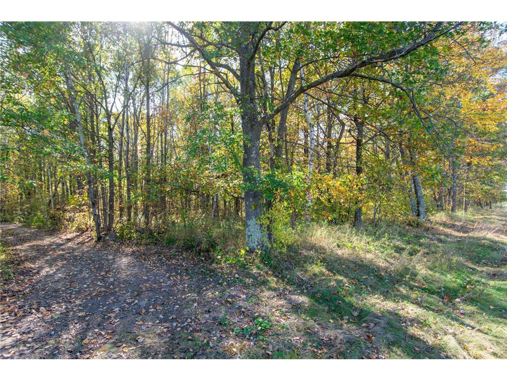 TBD County Road 2 Brainerd MN 56401 6794255 image20
