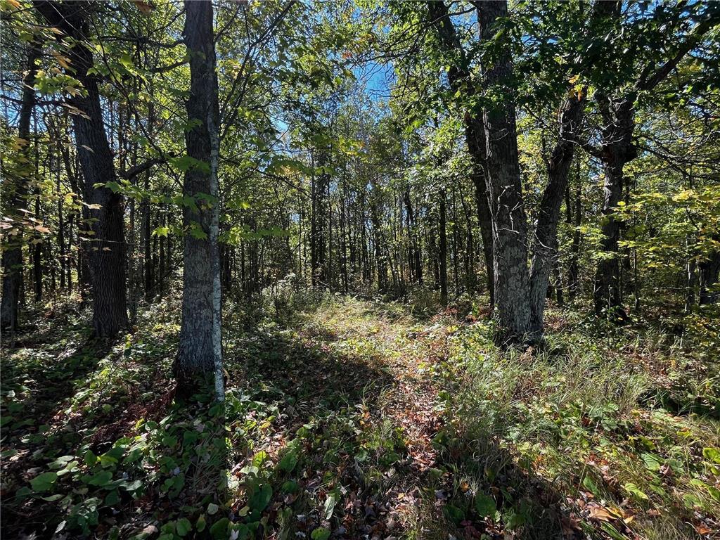 TBD County Road 2 Brainerd MN 56401 6794255 image5