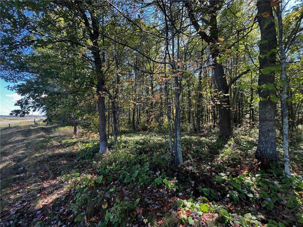 TBD County Road 2 Brainerd MN 56401 6794255 image8