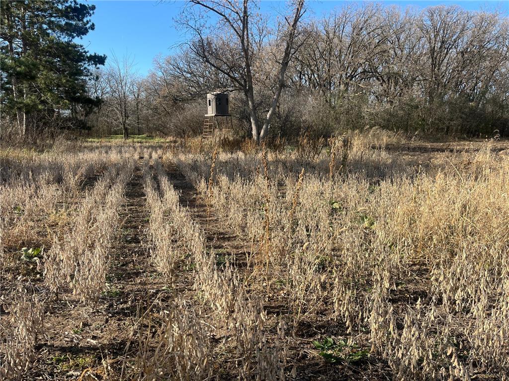 TBD County Road 2 Saint Joseph Twp MN 56374 - Watab River 6817400 image10