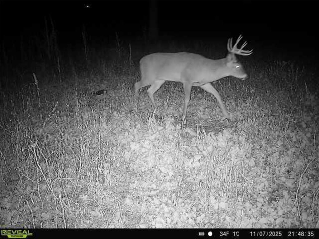 TBD County Road 2 Saint Joseph Twp MN 56374 - Watab River 6817400 image12