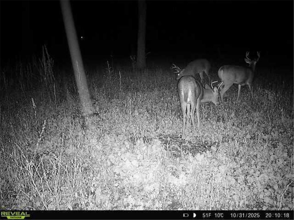 TBD County Road 2 Saint Joseph Twp MN 56374 - Watab River 6817400 image13