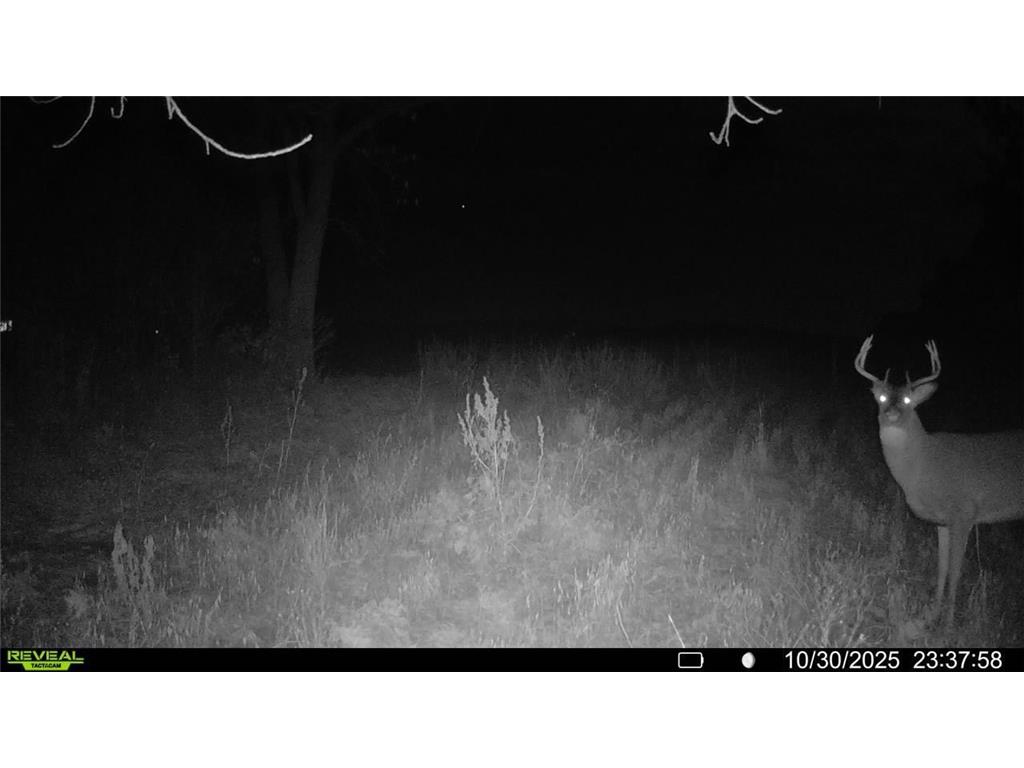 TBD County Road 2 Saint Joseph Twp MN 56374 - Watab River 6817400 image14