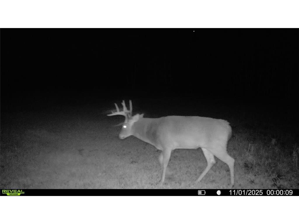 TBD County Road 2 Saint Joseph Twp MN 56374 - Watab River 6817400 image15