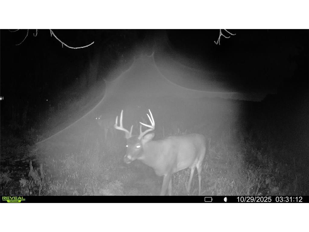 TBD County Road 2 Saint Joseph Twp MN 56374 - Watab River 6817400 image16