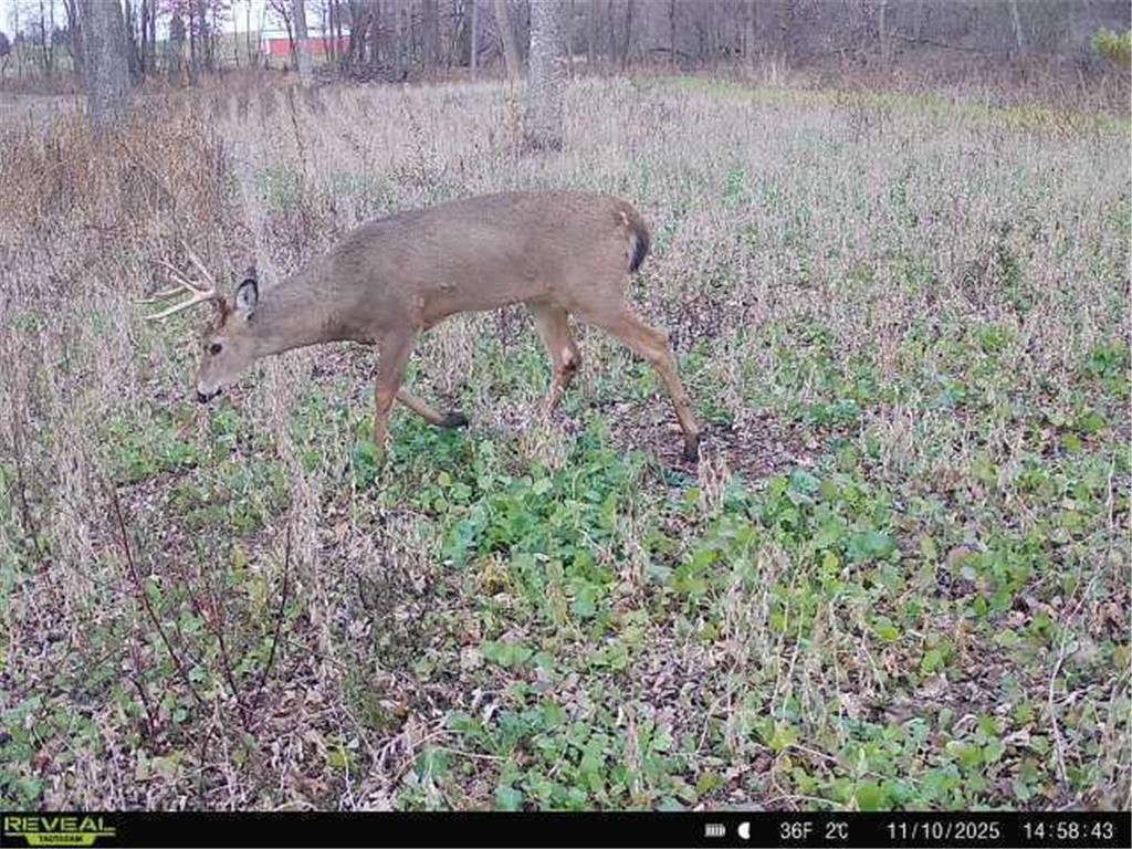 TBD County Road 2 Saint Joseph Twp MN 56374 - Watab River 6817400 image18