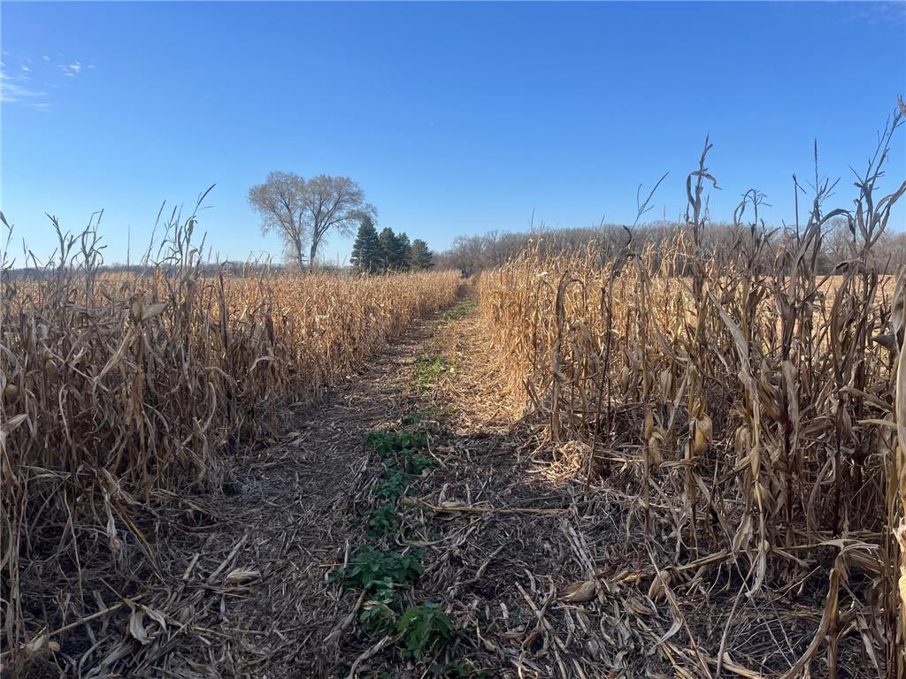 TBD County Road 2 Saint Joseph Twp MN 56374 - Watab River 6817400 image20