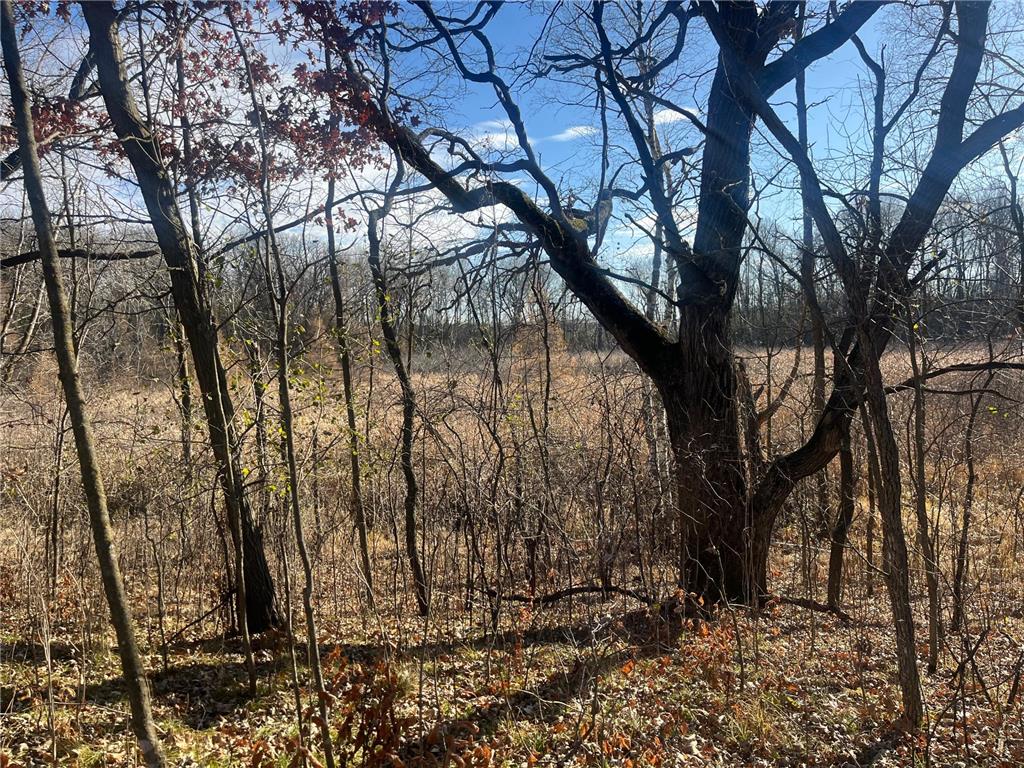 TBD County Road 2 Saint Joseph Twp MN 56374 - Watab River 6817400 image23