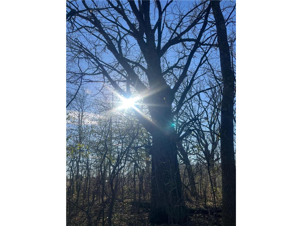 TBD County Road 2 Saint Joseph Twp MN 56374 - Watab River 6817400 image24