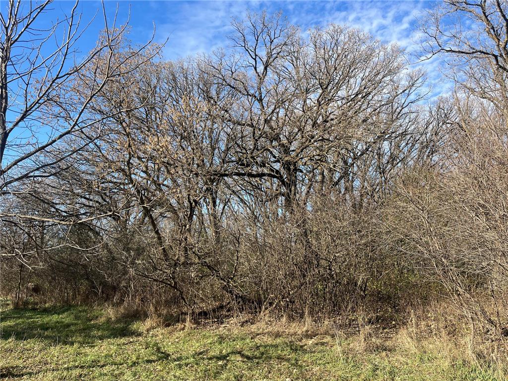 TBD County Road 2 Saint Joseph Twp MN 56374 - Watab River 6817400 image25