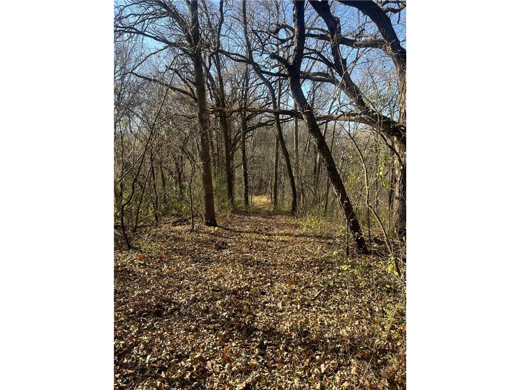 TBD County Road 2 Saint Joseph Twp MN 56374 - Watab River 6817400 image26